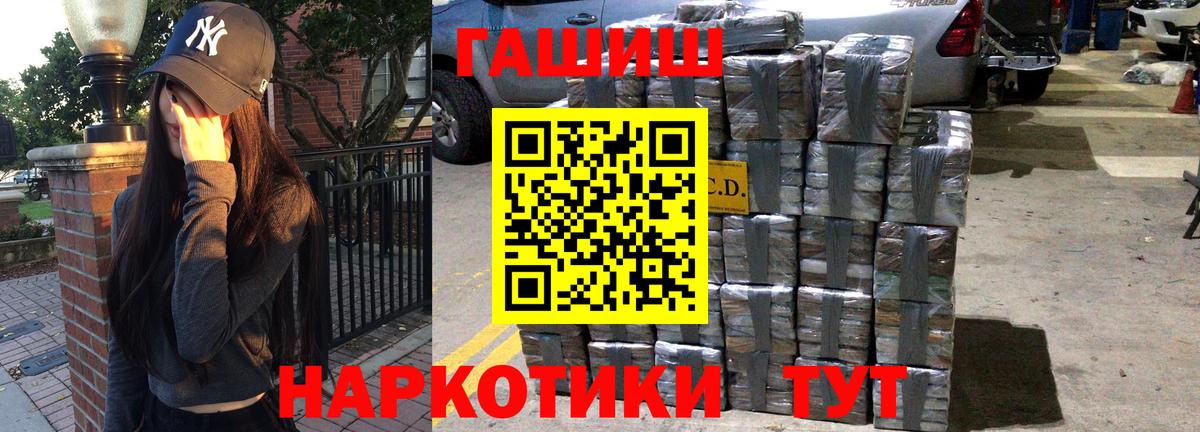 ГАШ Premium Фрязино