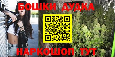 PSILOCYBIN Новодвинск