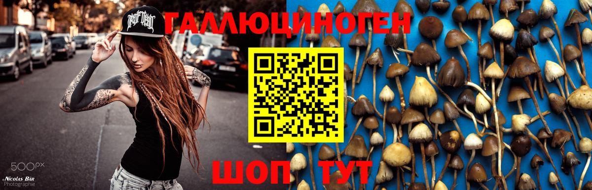Псилоцибиновые грибы Psilocybine cubensis  Вход с VPN  Фрязино  Псилоцибиновые грибы мухоморы 